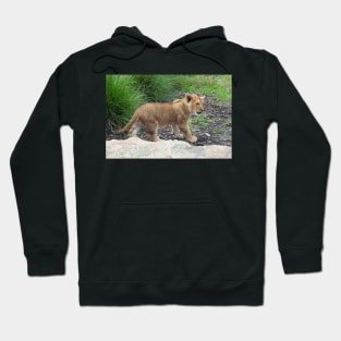 Lion Cub Hoodie